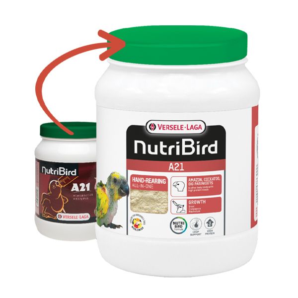 Nutribird A21營養素-800g